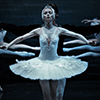 Gala koncert ruskog baleta „Petipa, s ljubavlju"